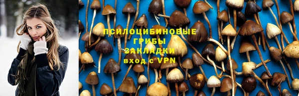 мдпв Белокуриха