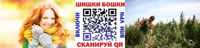 Шишки марихуана сатива Гороховец